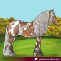 Horse Color:White Spotted Silver Buckskin 