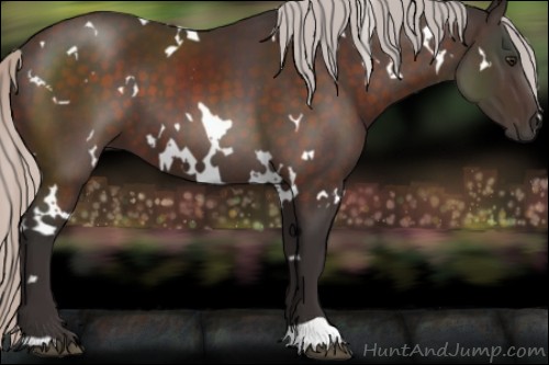 Horse Color:White Spotted Silver Brown