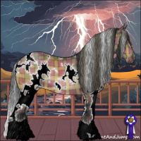 Horse Color:Plaid White Spotted Bay