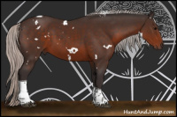 Horse Color:White Spotted Silver Brown Tobiano
