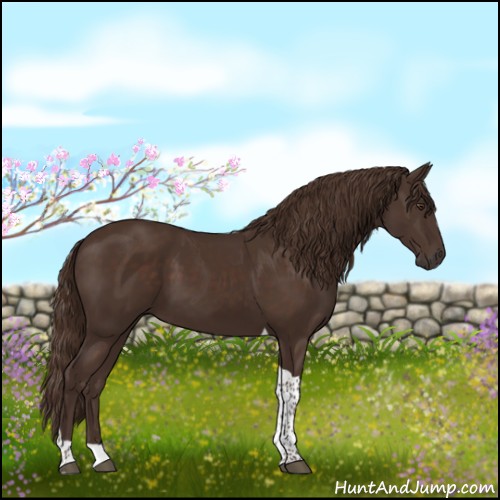 Horse Color:Liver Chestnut Tobiano 