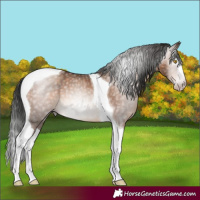 Horse Color:Gray Sable Champagne Splash Tobiano