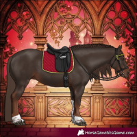 Horse Color:Liver Chestnut Tobiano 