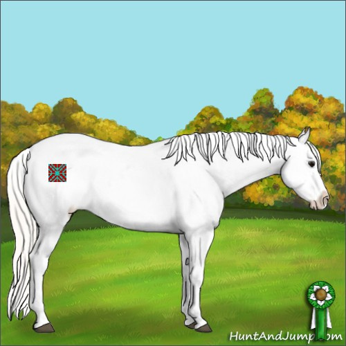 Horse Color:Silver Grullo Snowflake Varnish