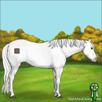 Horse Color:Silver Grullo Appaloosa