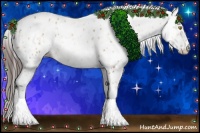 Horse Color:Amber Champagne Sabino Tobiano Appaloosa  and White Spotted Amber Champagne Sabino Appaloosa 