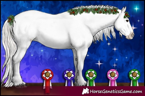 Horse Color:Silver Black Appaloosa 