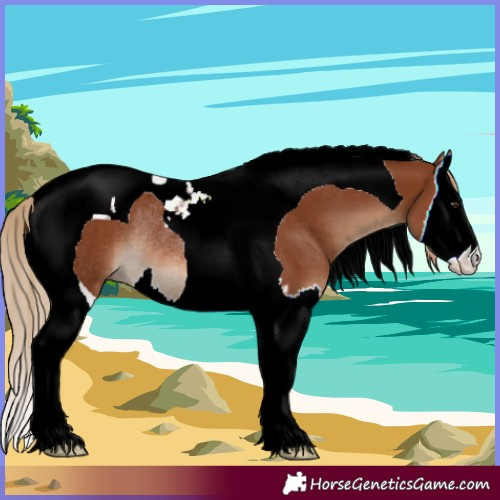 Horse Color:Chestnut Splash Tobiano Rabicano 