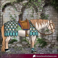 Horse Color:Gold Champagne Roan Dun 