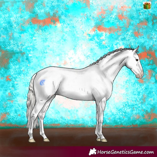 Horse Color:Silver Grullo Appaloosa 