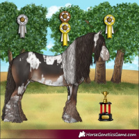 Horse Color:Platinum Silver Grullo Blanket  and Liver Chestnut 