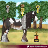Horse Color:Platinum Silver Grullo Appaloosa  and Liver Chestnut 