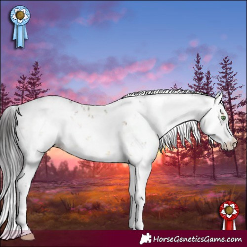 Horse Color:Buckskin Dun Sabino 