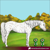 Horse Color:Silver Grullo Leopard 