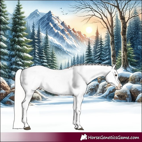 Horse Color:Silver Smoky Grullo Near Leopard