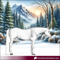 Horse Color:Silver Smoky Grullo Near Leopard