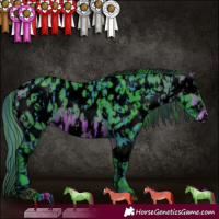 Horse Color:Void Watercolor Bay Appaloosa  and Void Watercolor Bay Appaloosa Rabicano 