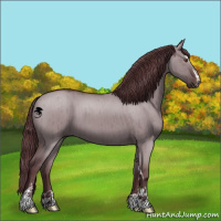 Horse Color:Chocolate Grullo Chinchilla Sabino Brindle 
