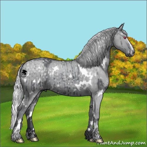 Horse Color:White Spotted Silver Grullo Chinchilla Sabino Brindle 