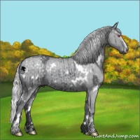Horse Color:White Spotted Silver Grullo Chinchilla Sabino Brindle 