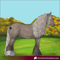 Horse Color:Silver Grullo 