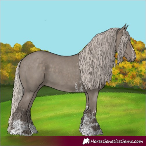 Horse Color:Silver Grullo Sabino 
