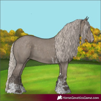 Horse Color:Silver Grullo Sabino 