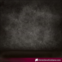 Horse Color:Liver Chestnut Sabino