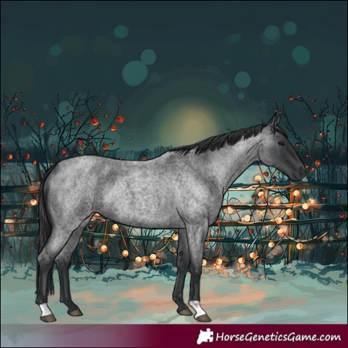 Horse Color:Blue Roan Rabicano