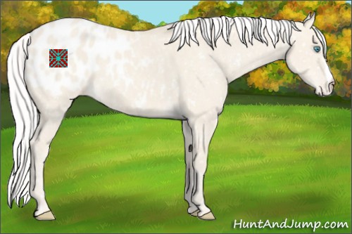 Horse Color:Silver Smoky Creme Dun Blanket 