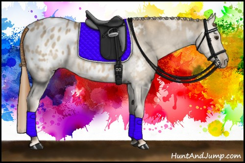 Horse Color:Red Dun Appaloosa  and Red Dun Appaloosa 