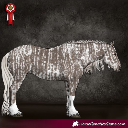 Horse Color:Silver Grullo Roan Blanket  and Silver Black Tobiano 