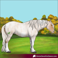 Horse Color:Silver Blue Roan Pearl Tobiano Frame 