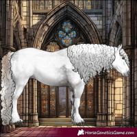 Horse Color:Gray Liver Chestnut  and Gray White Spotted Liver Chestnut 