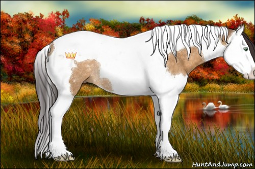 Horse Color:Buckskin Dun Splash Tobiano Rabicano 