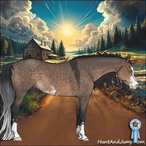Horse Color:Brown Dun Sabino