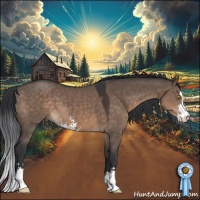 Horse Color:Brown Dun Sabino