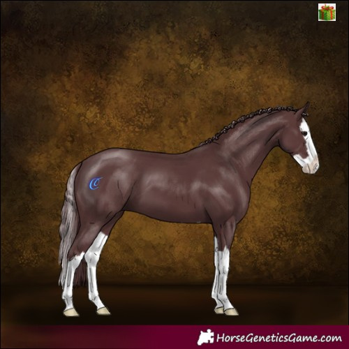 Horse Color:Chocolate Black Splash 