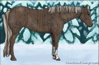 Horse Color:Smoky Black and Silver Smoky Black