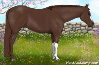 Horse Color:Gray Chestnut 