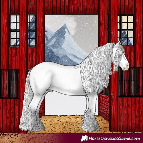 Horse Color:Silver Grullo Appaloosa 