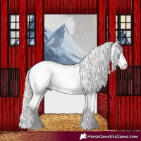 Horse Color:Silver Grullo Appaloosa 