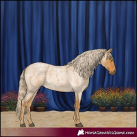 Horse Color:Palomino Roan 