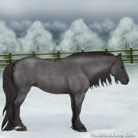 Horse Color:Smoky Blue Roan 