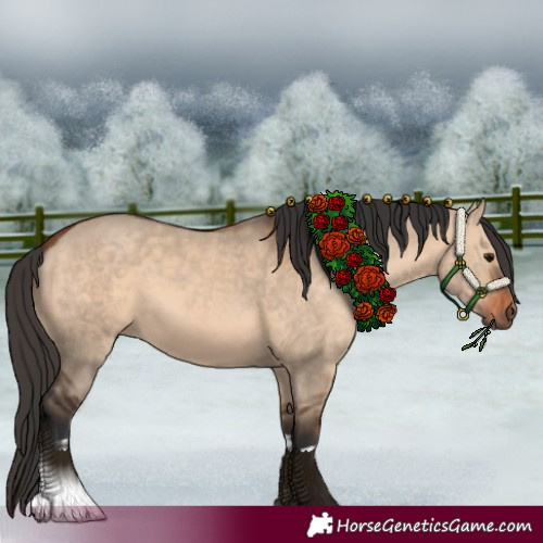 Horse Color:Bay Dun  and Bay Dun 