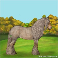 Horse Color:Chocolate Palomino Roan 