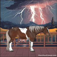 Horse Color:Silver Brown Tobiano 