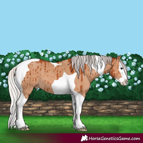 Horse Color:Silver Brown Dun Splash Tobiano Brindle 