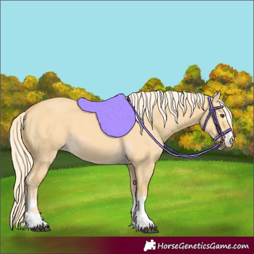 Horse Color:Palomino Dun 