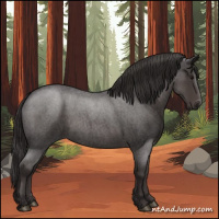 Horse Color:Smoky Blue Roan 